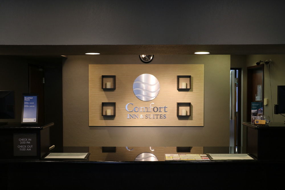 约克顿康福特茵套房酒店 外观 照片